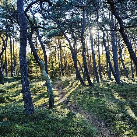Pokoje Goscinne Weronika 홈스테이